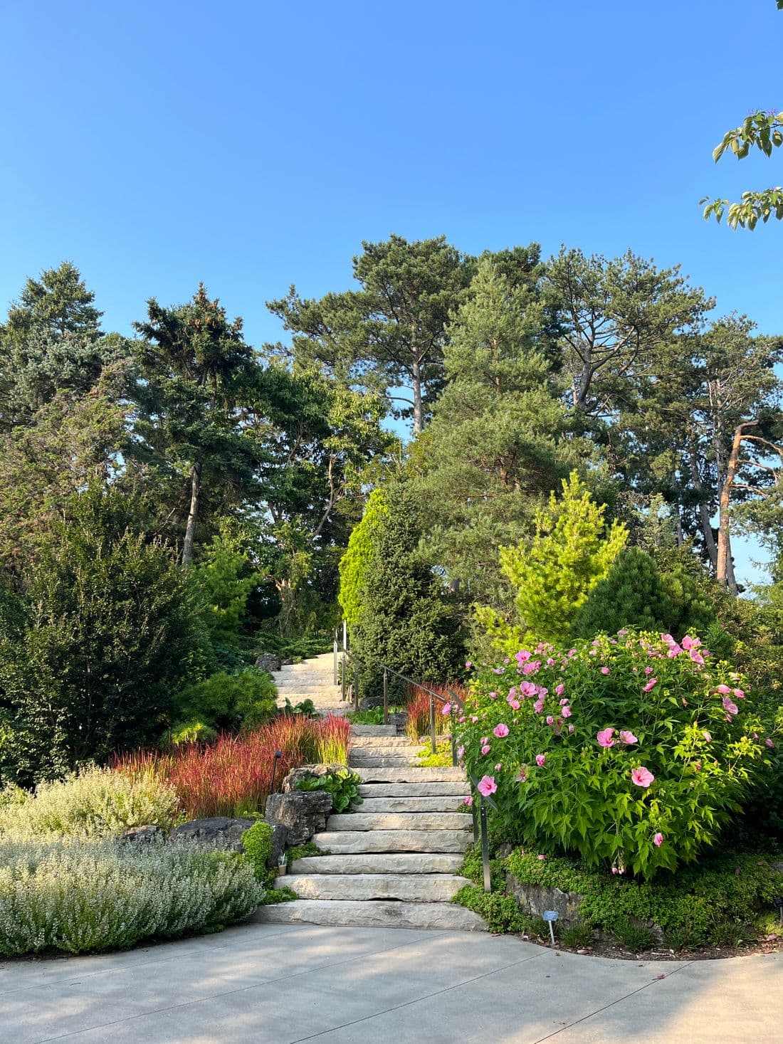 Spring Lawn Startup in Reno: Your March–April Checklist